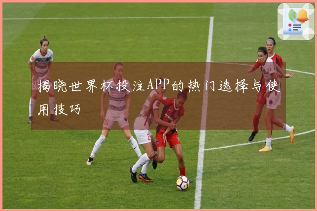 揭晓世界杯投注APP的热门选择与使用技巧
