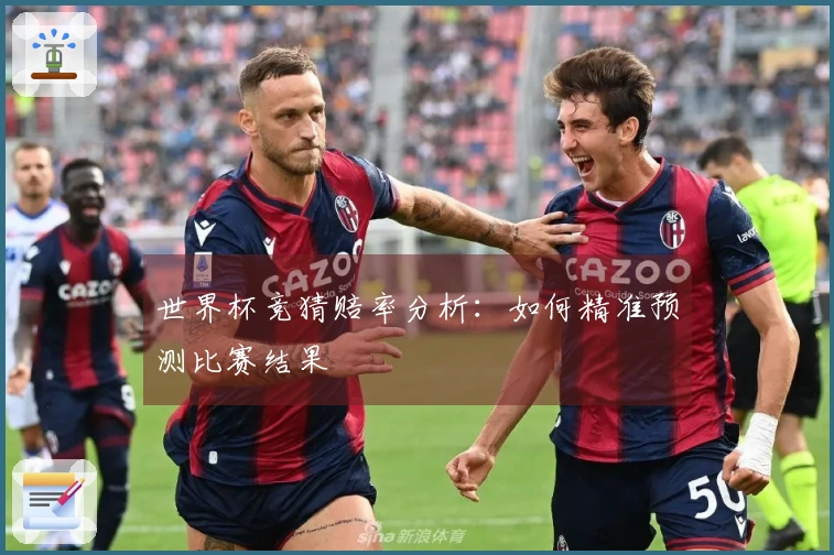 世界杯竞猜赔率分析：如何精准预测比赛结果