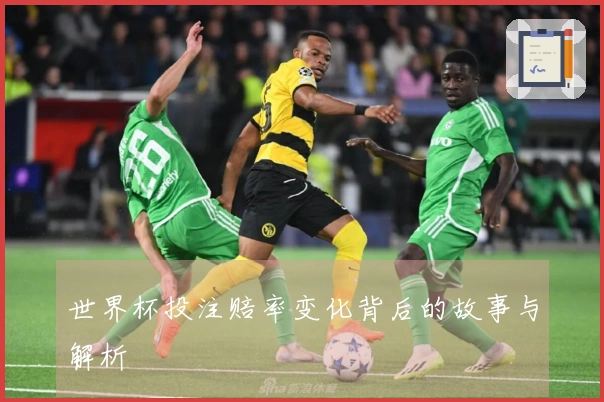 世界杯投注赔率变化背后的故事与解析