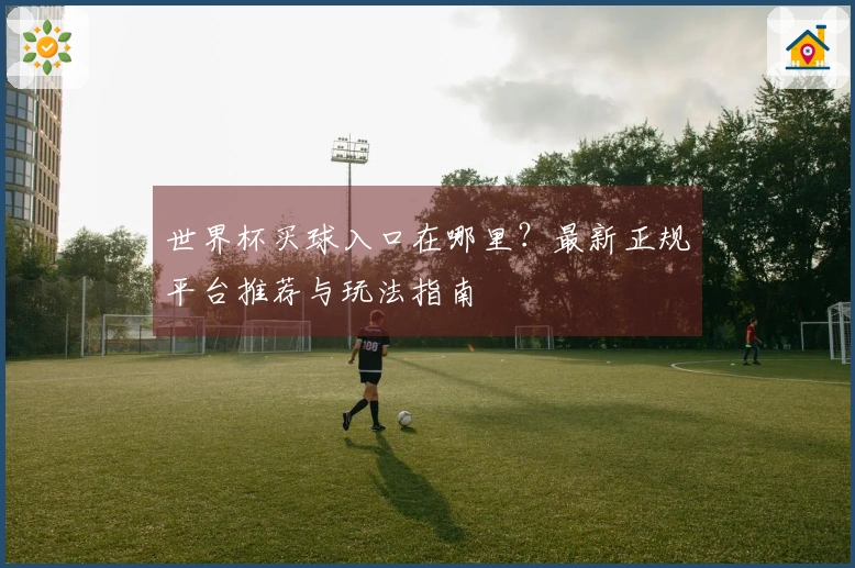 世界杯买球入口在哪里?最新正规平台推荐与玩法指南