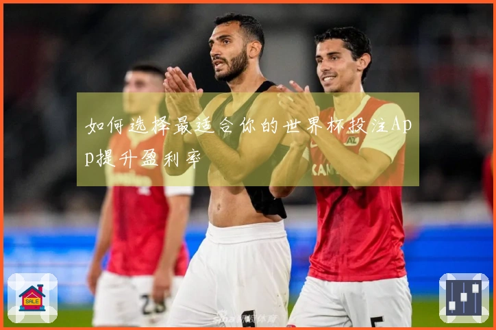 如何选择最适合你的世界杯投注App提升盈利率