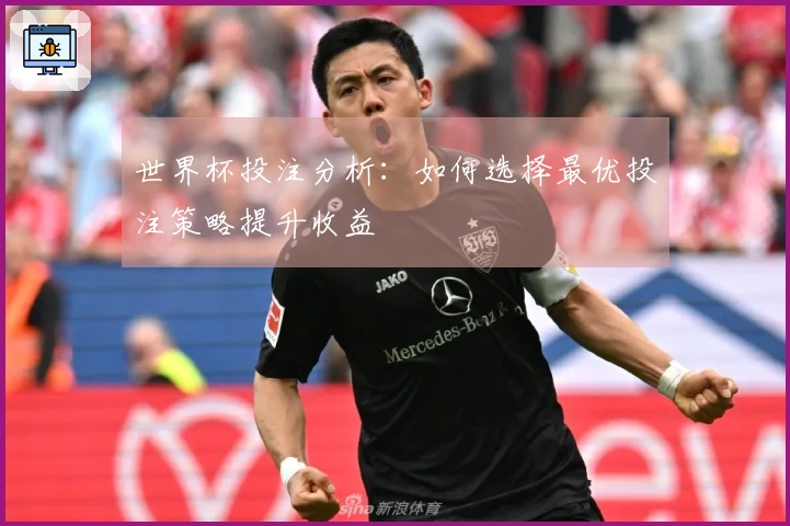世界杯投注分析：如何选择最优投注策略提升收益