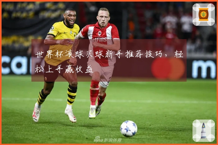 世界杯滚球买球新手推荐技巧，轻松上手赢收益