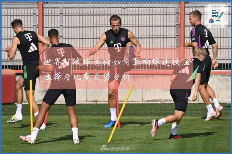 世界杯滚球竞猜如何影响球迷投注选择与比赛走势分析