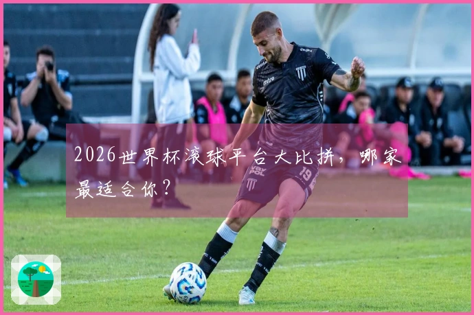 2026世界杯滚球平台大比拼，哪家最适合你？