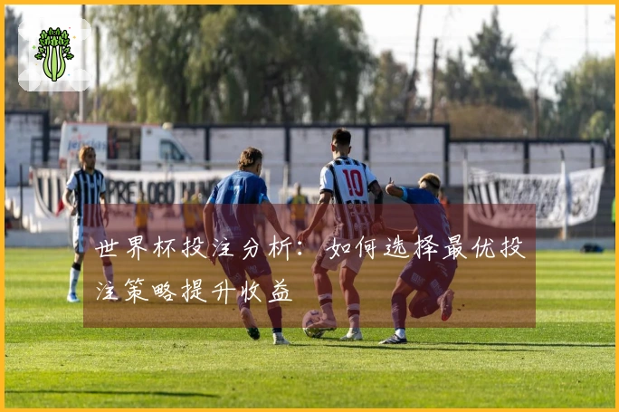 世界杯投注分析：如何选择最优投注策略提升收益