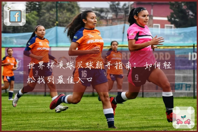 世界杯滚球买球新手指南：如何轻松找到最佳入口