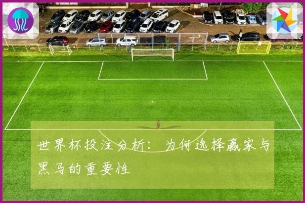 世界杯投注分析：为何选择赢家与黑马的重要性