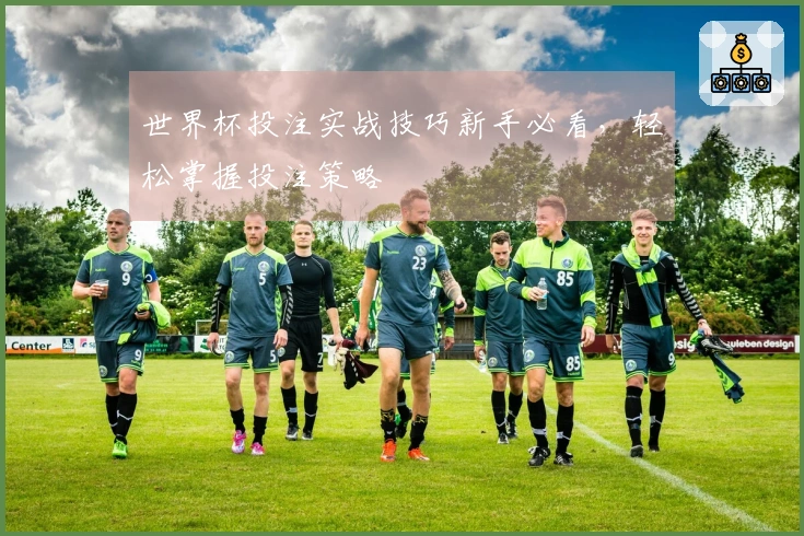 世界杯投注实战技巧新手必看,轻松掌握投注策略
