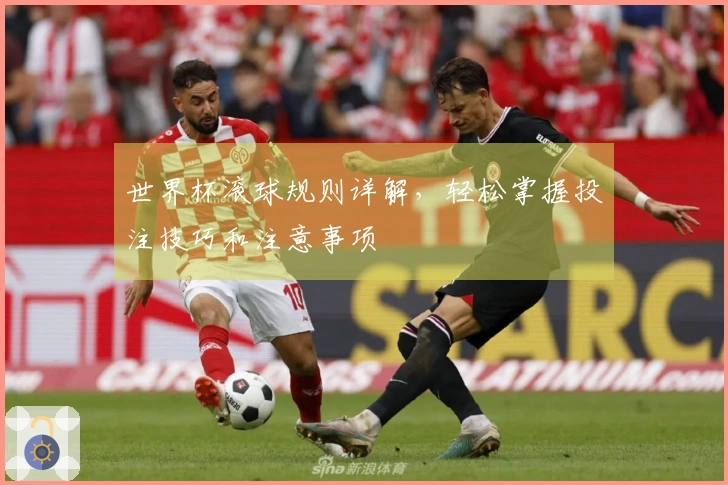 世界杯滚球规则详解，轻松掌握投注技巧和注意事项