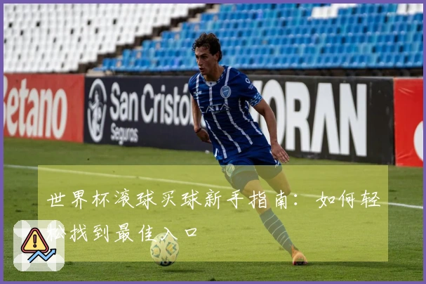 世界杯滚球买球新手指南：如何轻松找到最佳入口