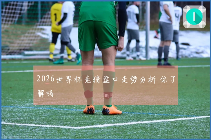 2026世界杯竞猜盘口走势分析 你了解吗