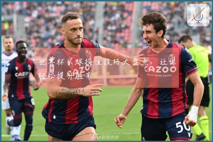 世界杯买球投注技巧大盘点，让你轻松提升胜率