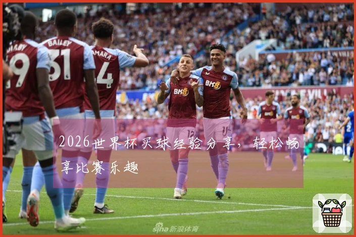 2026世界杯买球经验分享，轻松畅享比赛乐趣