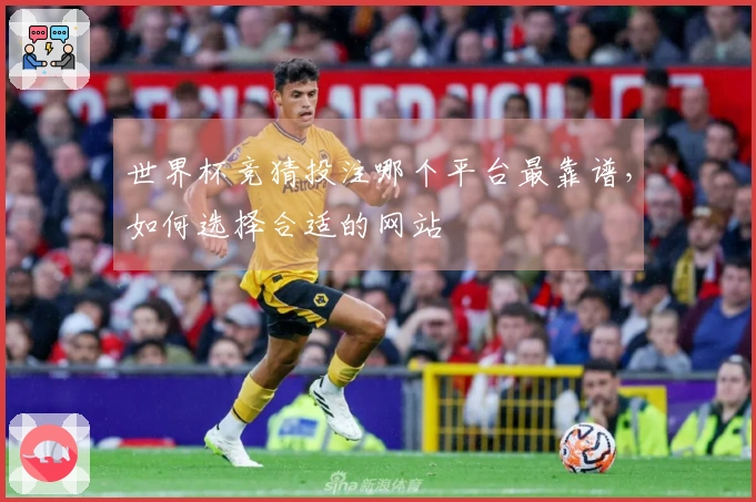 世界杯竞猜投注哪个平台最靠谱，如何选择合适的网站