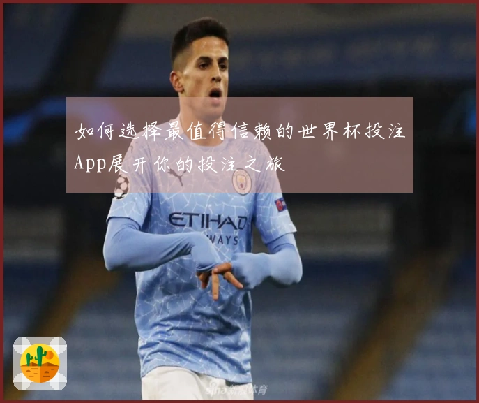 如何选择最值得信赖的世界杯投注App展开你的投注之旅
