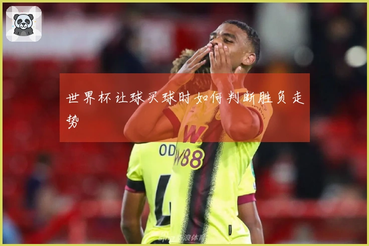 世界杯让球买球时如何判断胜负走势