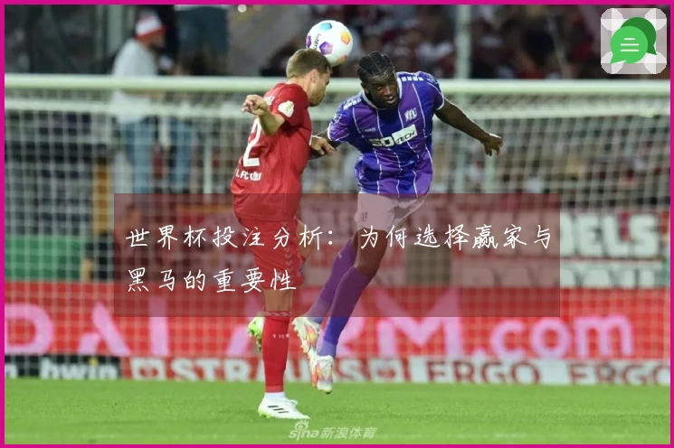 世界杯投注分析：为何选择赢家与黑马的重要性