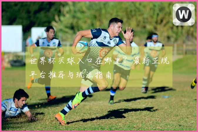世界杯买球入口在哪里？最新正规平台推荐与玩法指南